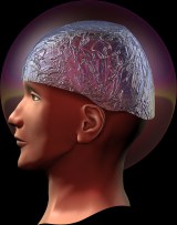 graphics/afdbhead.jpg